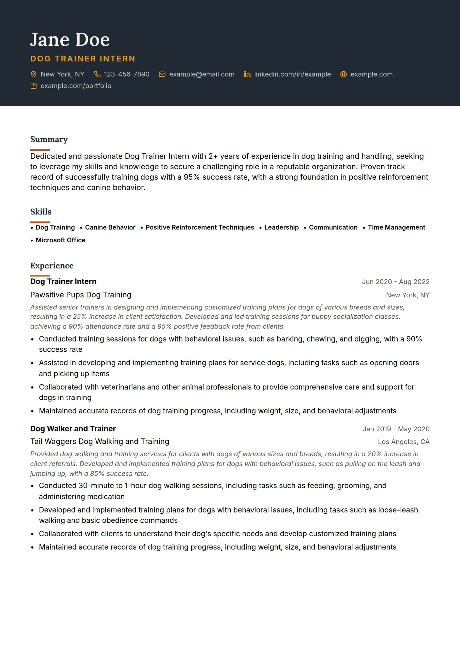 Dog Trainer Intern