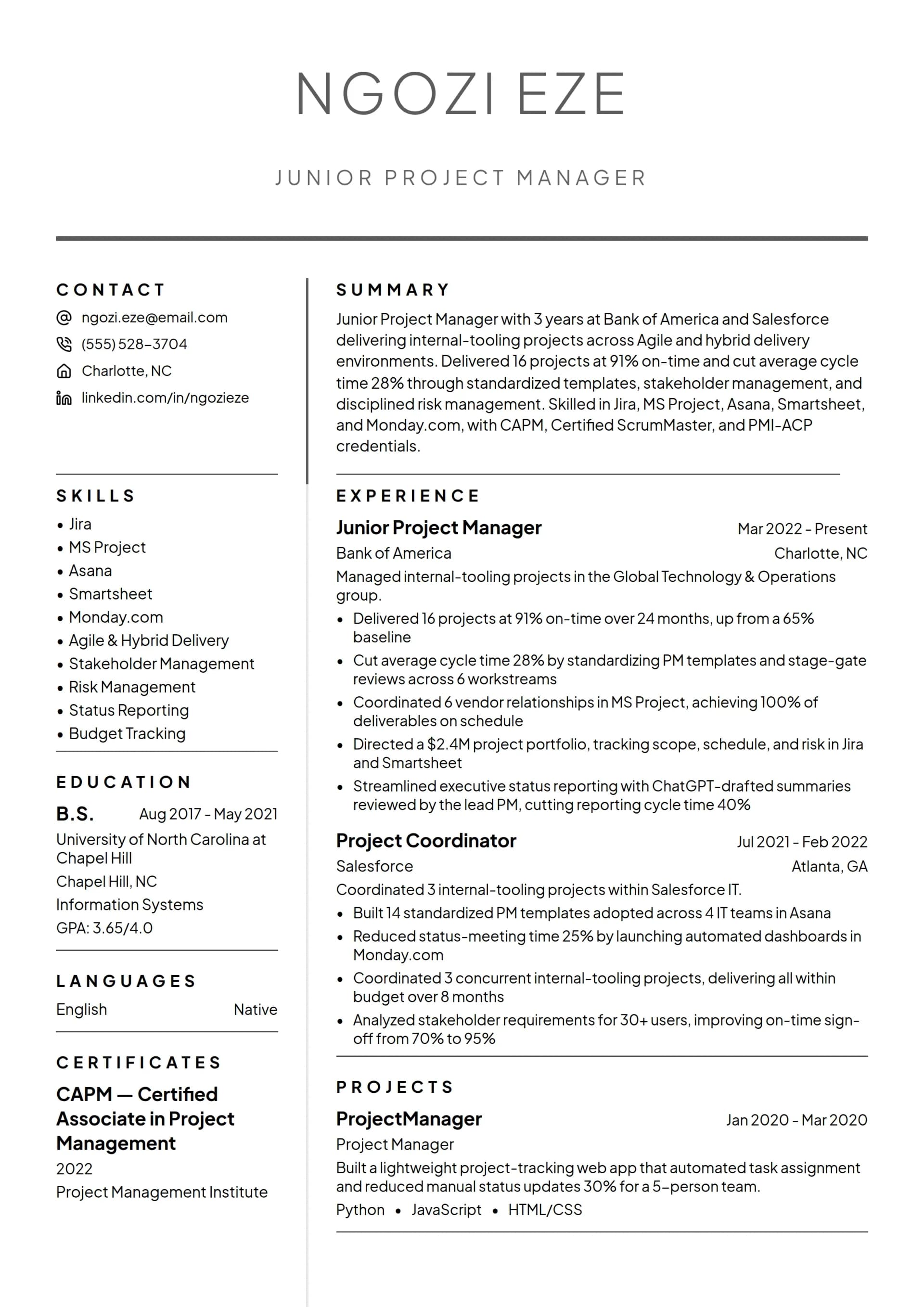 Junior Project Manager