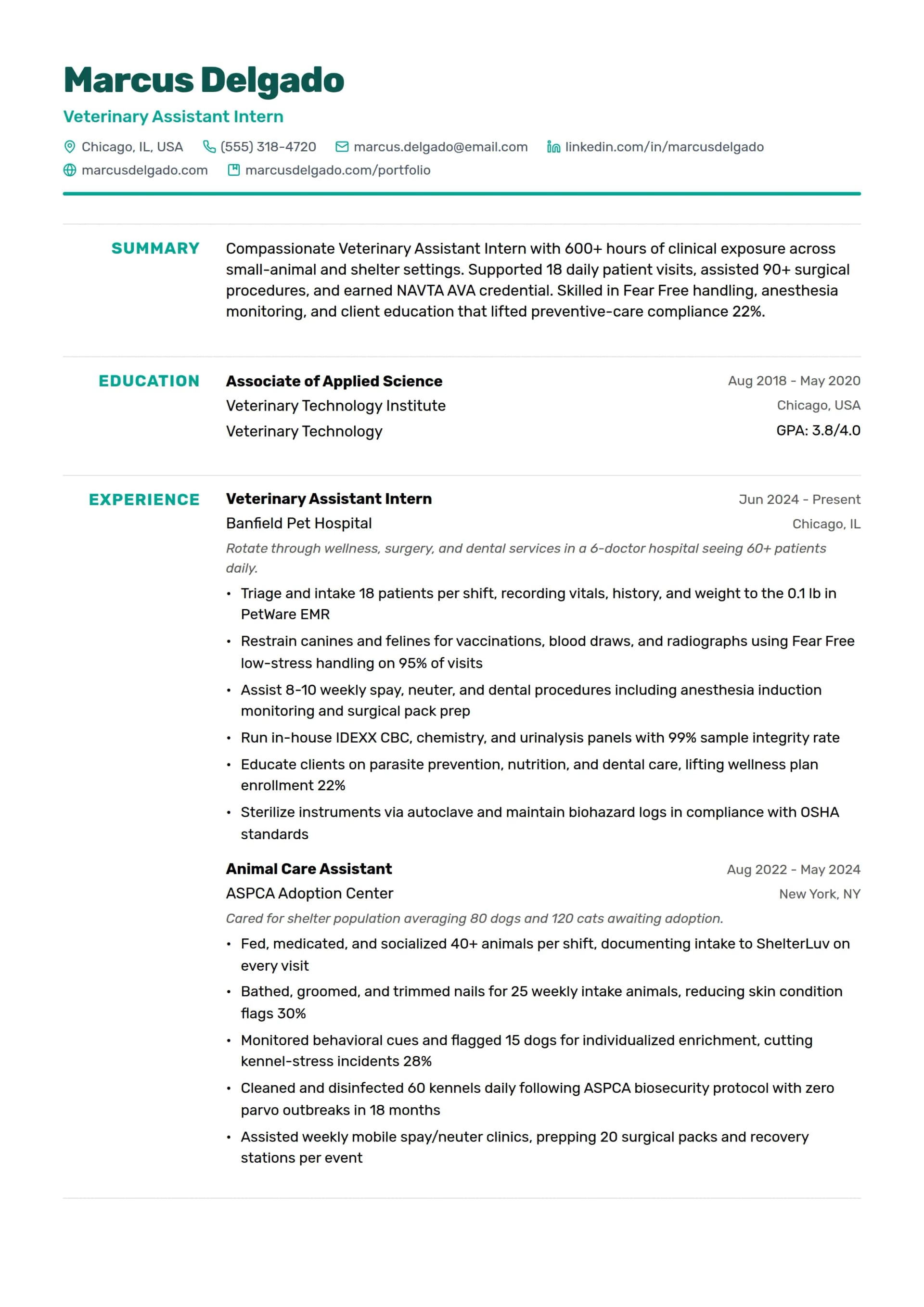 Veterinary Assistant Intern