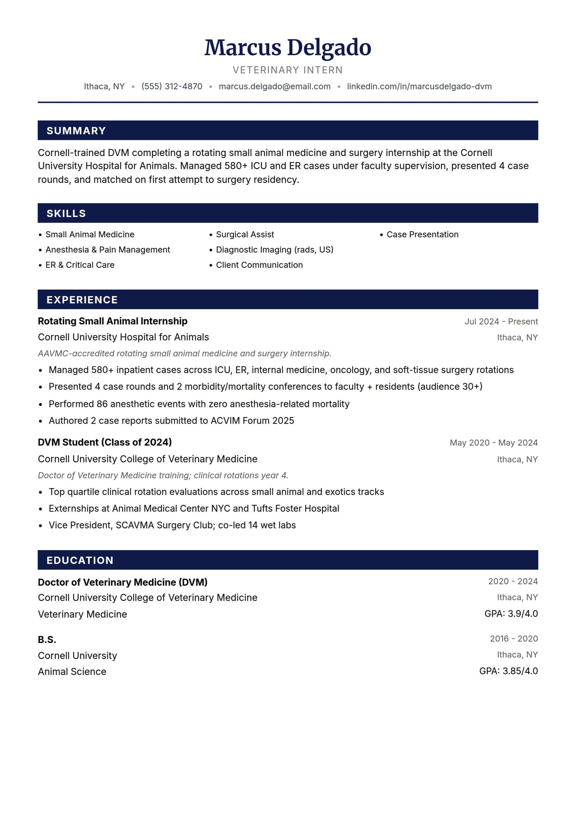 Veterinary Intern