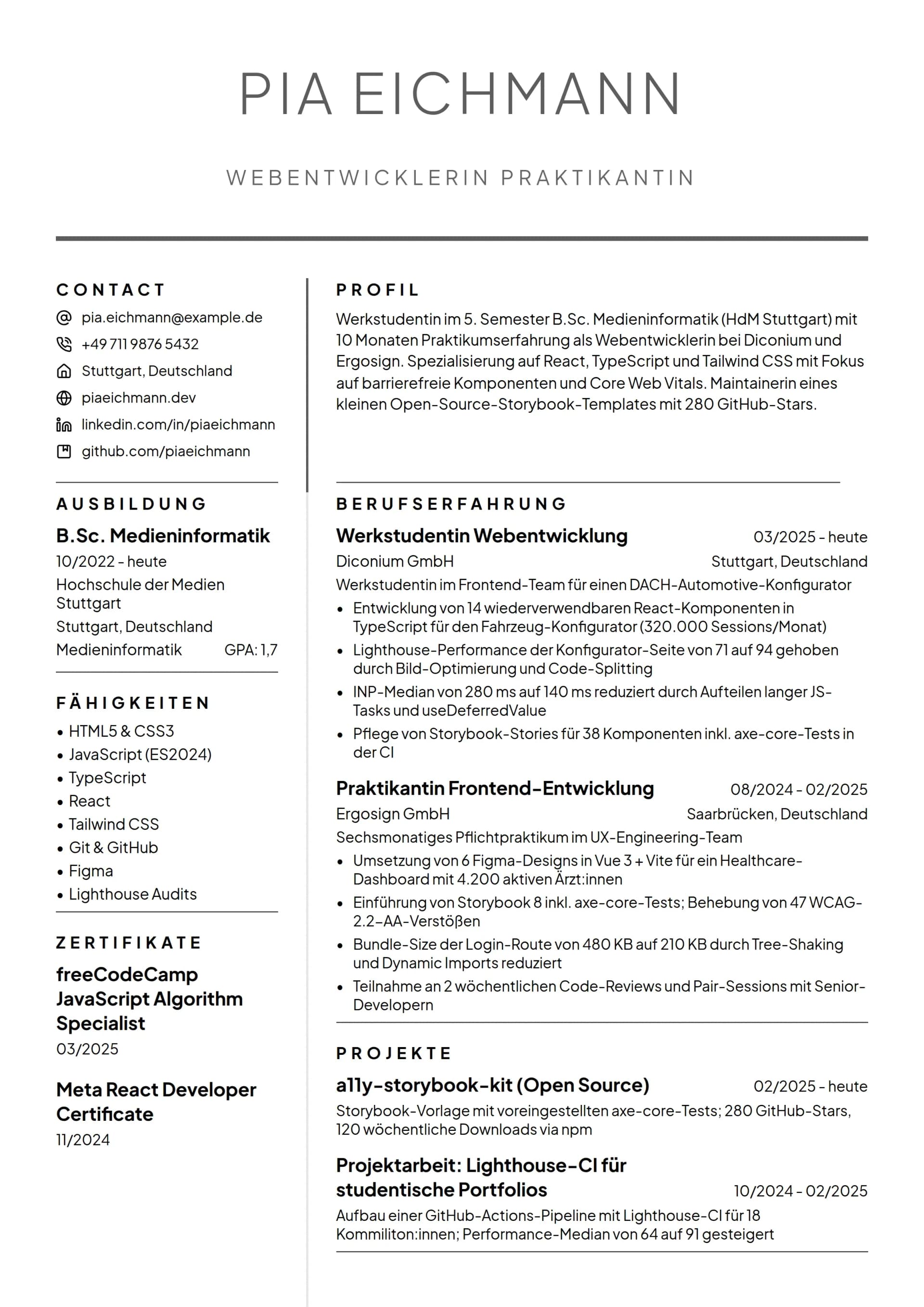 Webentwickler Praktikant