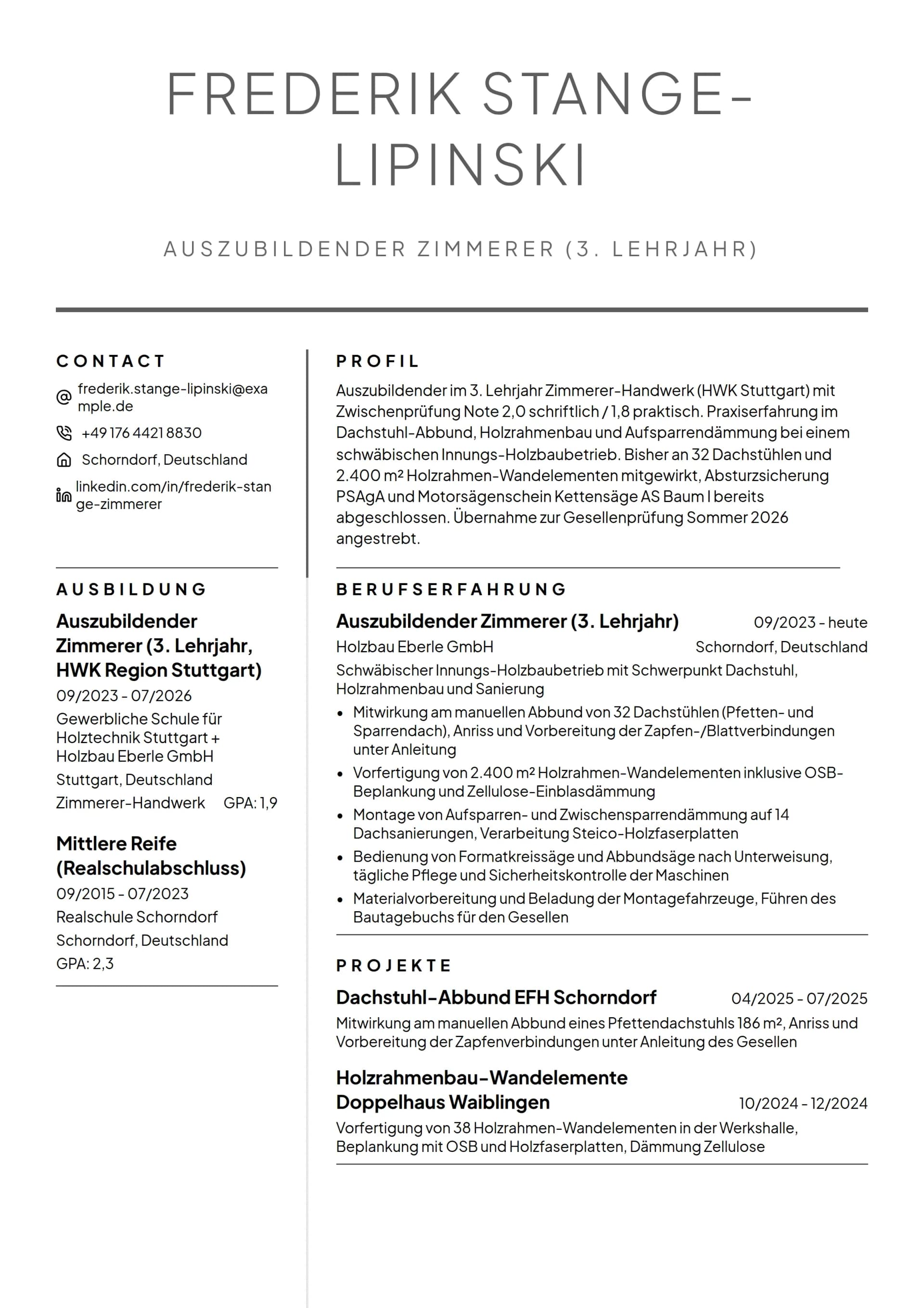 Zimmerer-Auszubildender