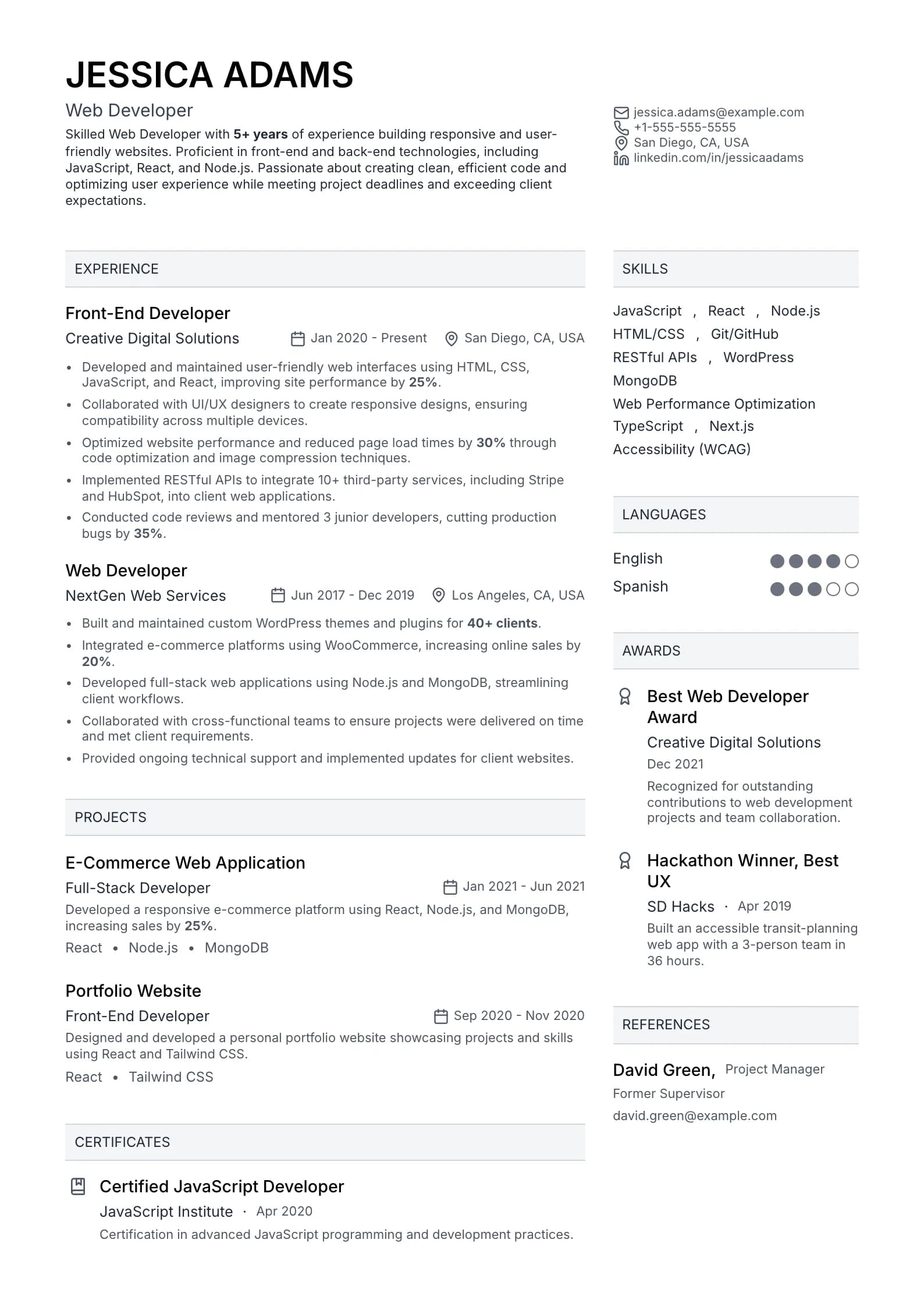 Developer Resume preview