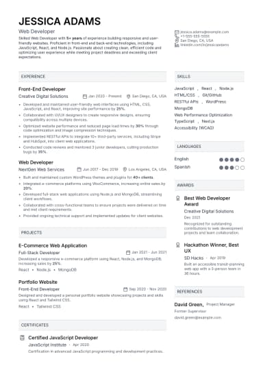 Developer Resume preview