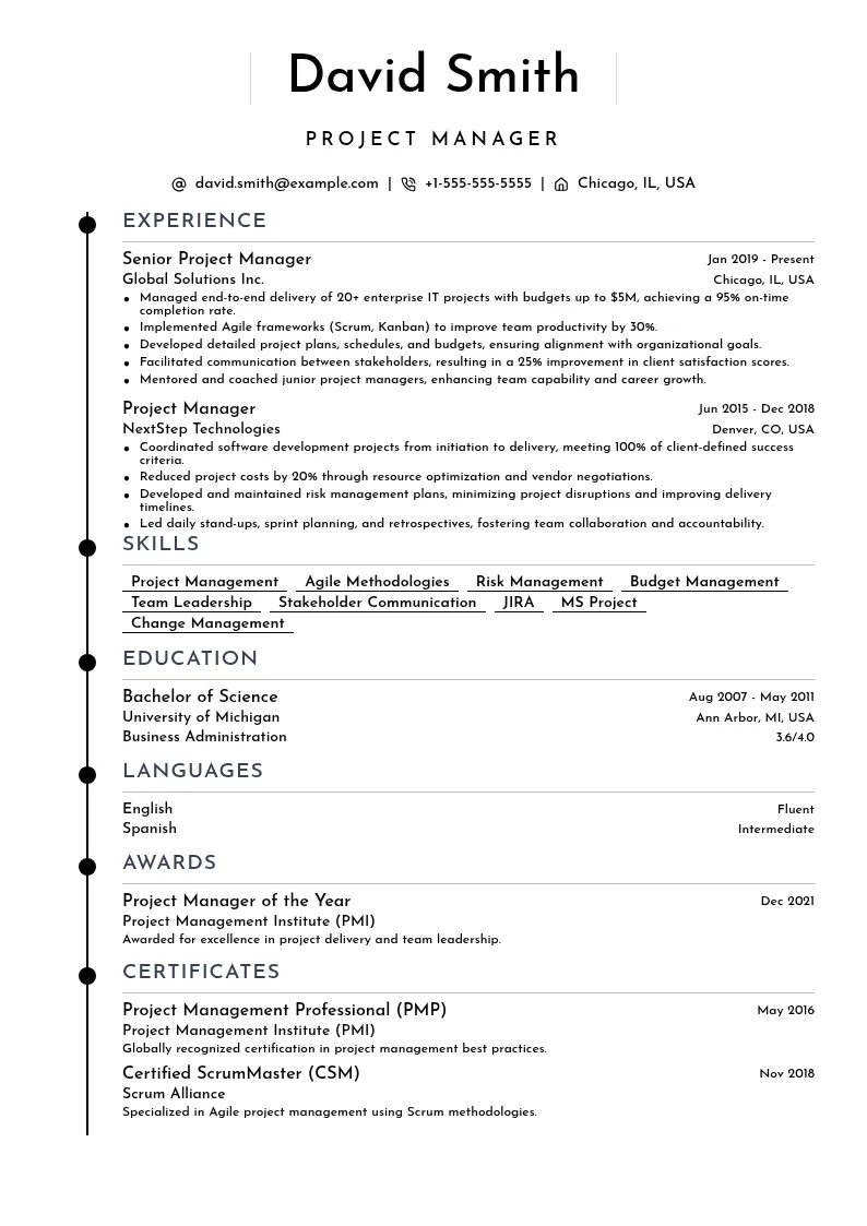 DataViz CV preview