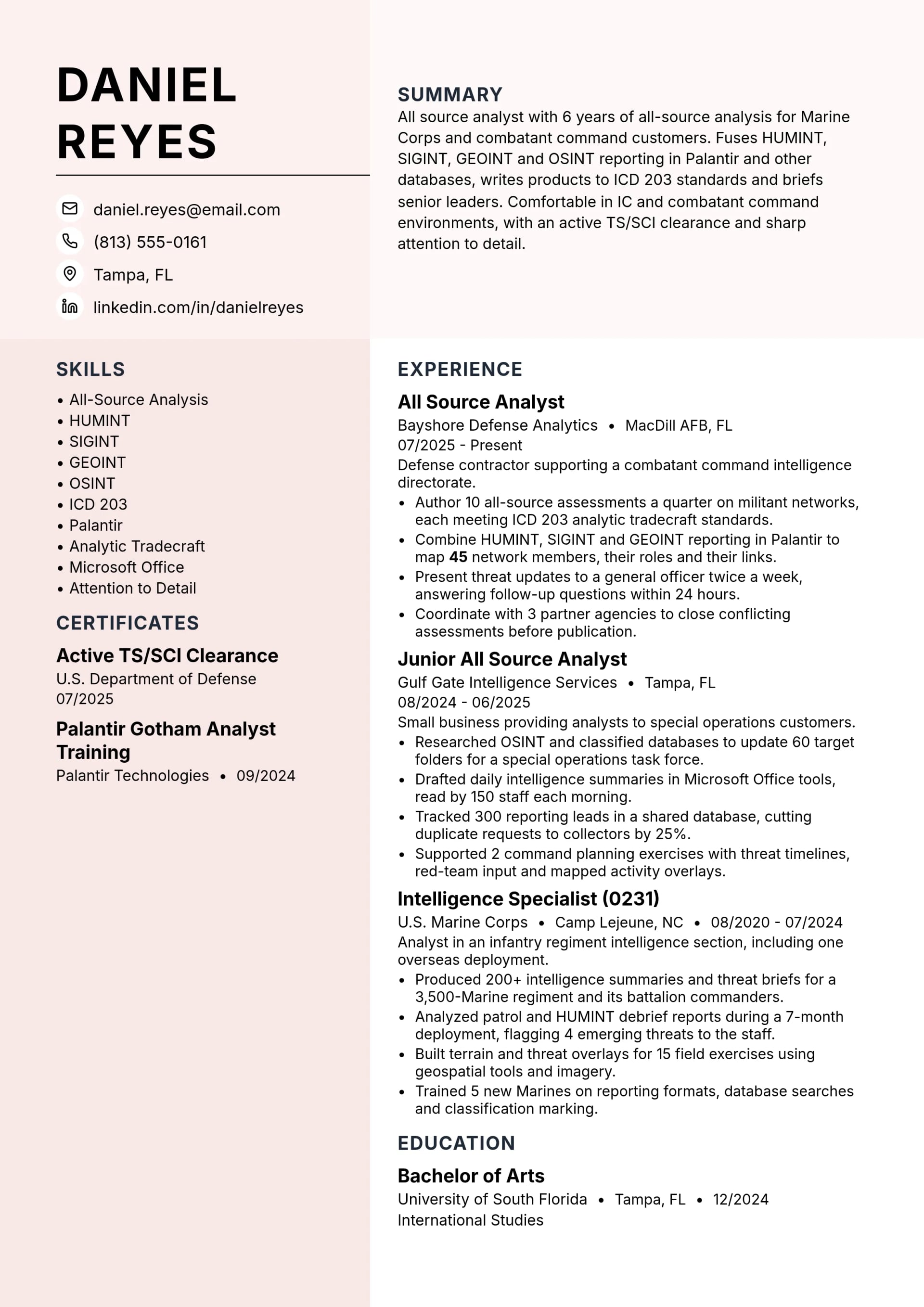 All Source Analyst resume example