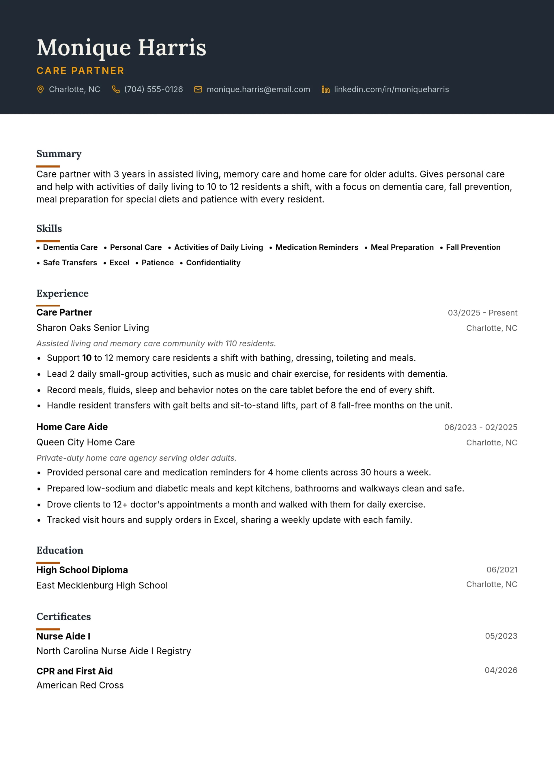 Care Partner resume example