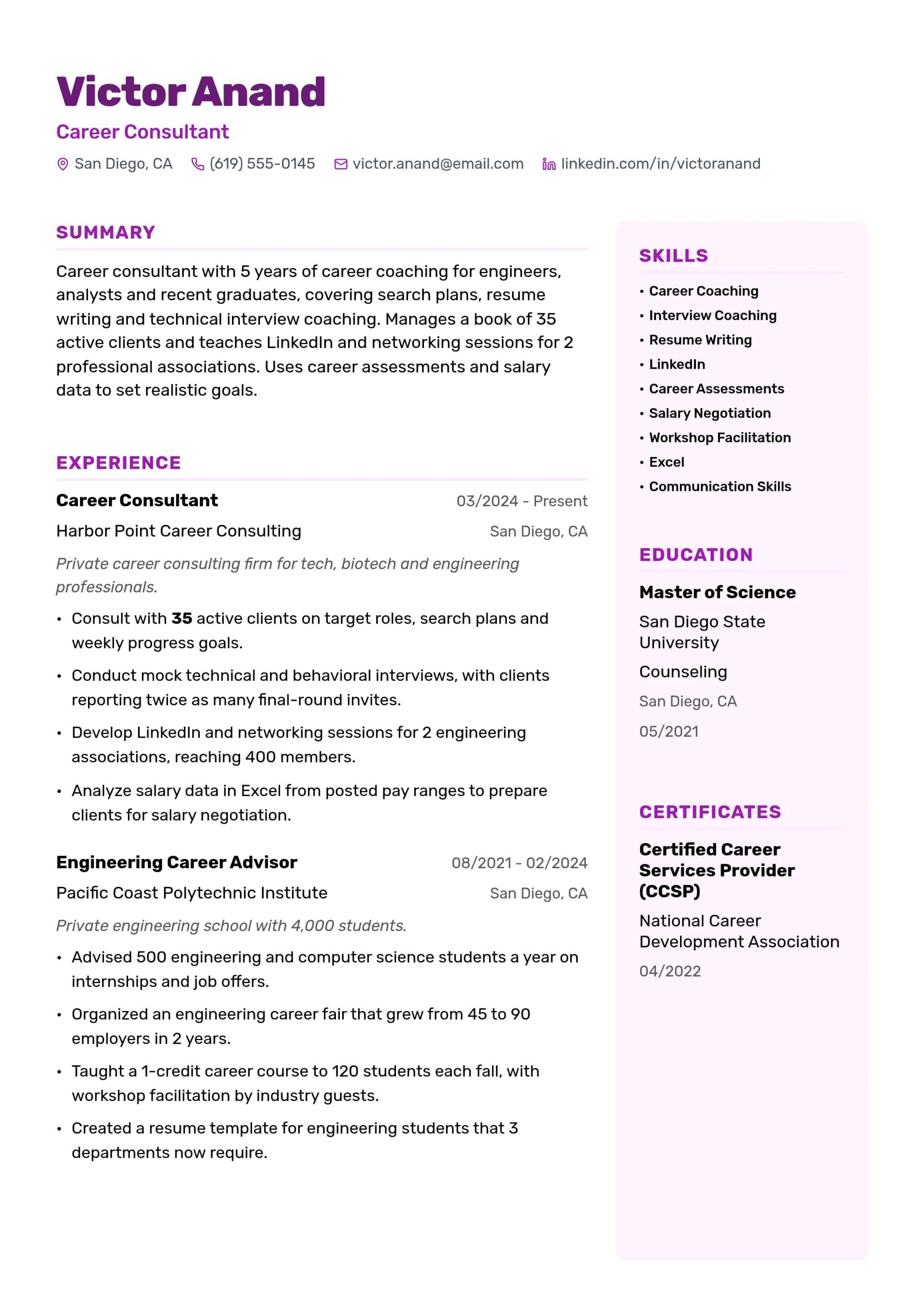 Career Consultant resume example