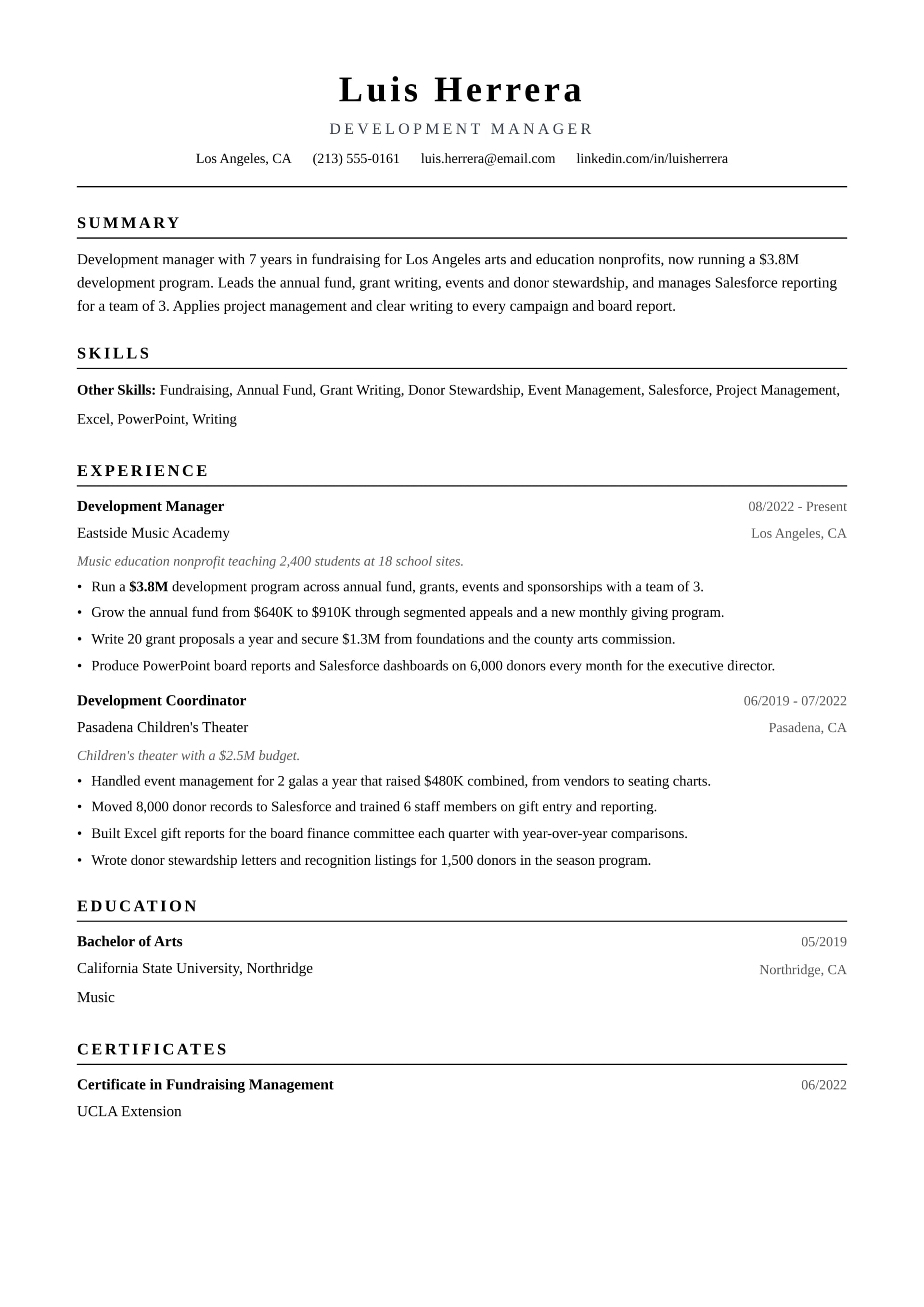 Development Manager resume example