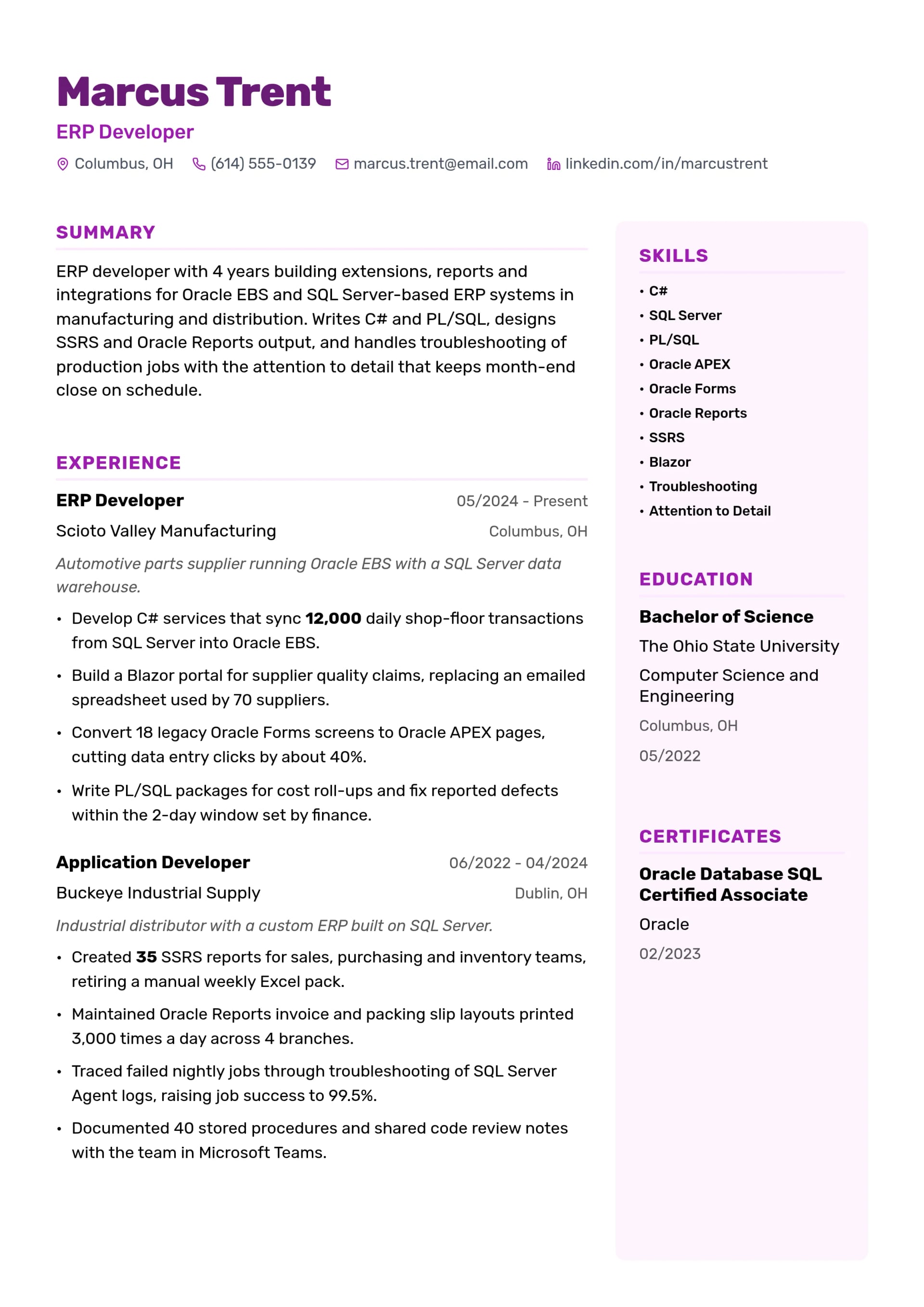 ERP Developer resume example