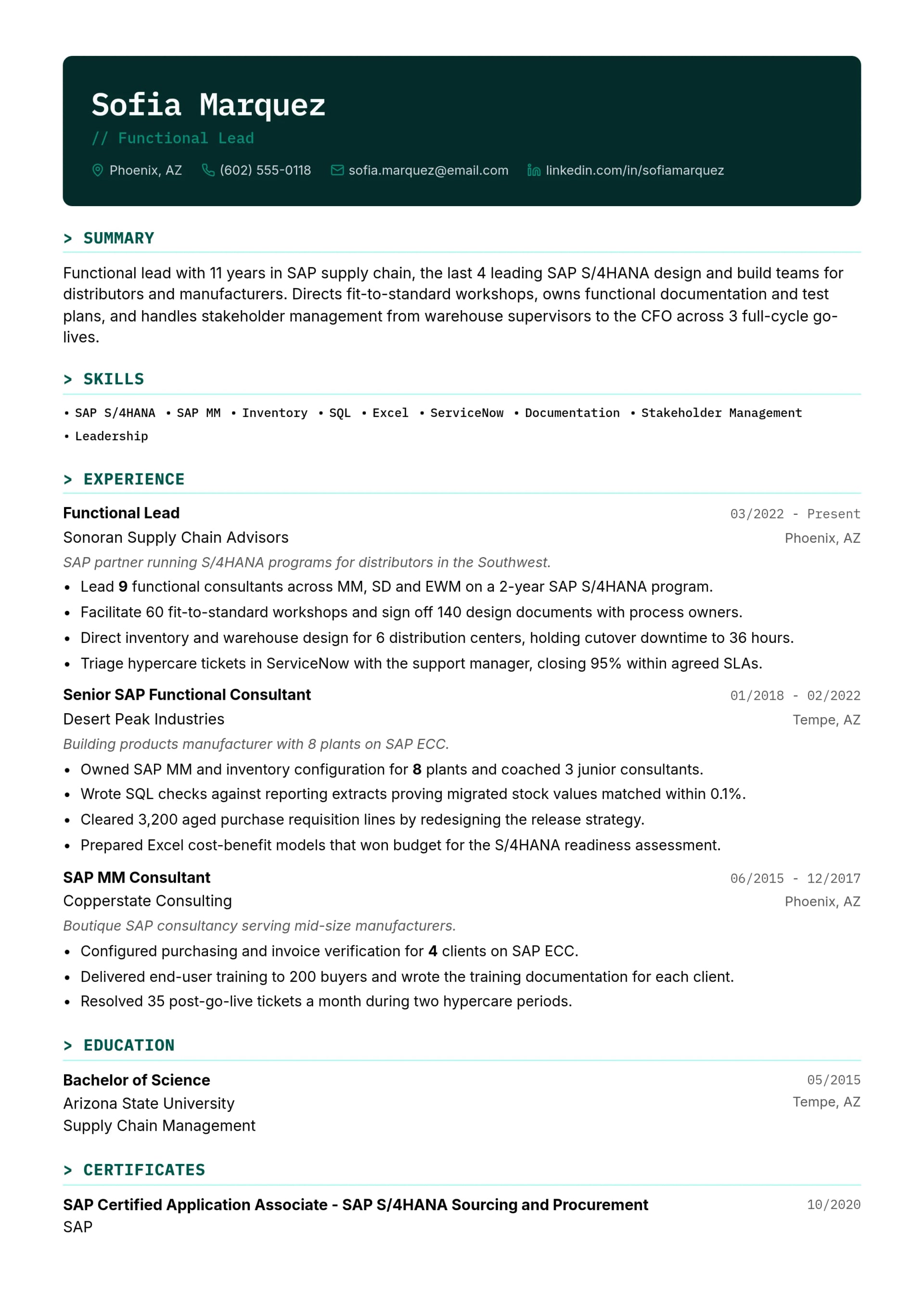 Functional Lead resume example