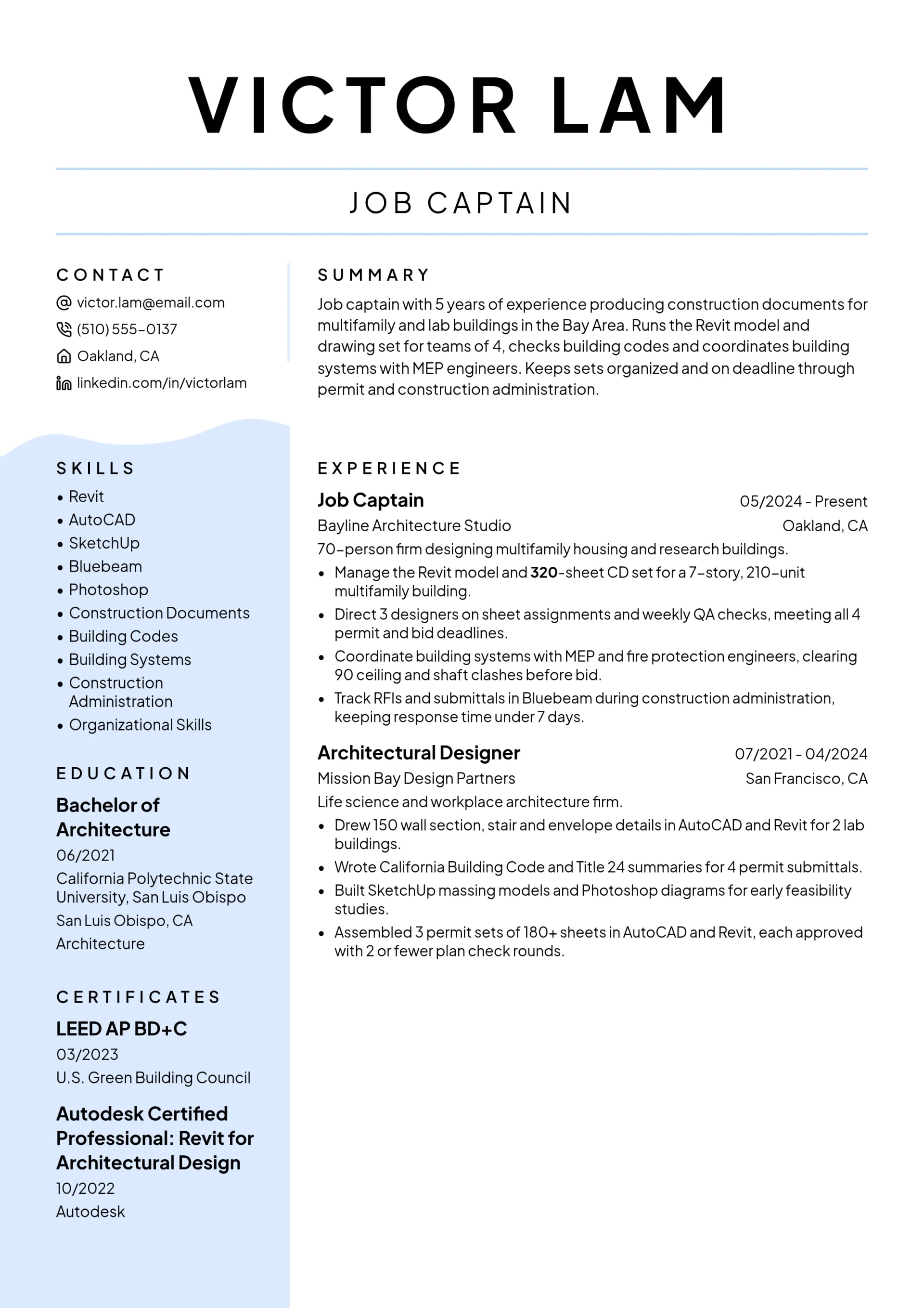 Job Captain resume example