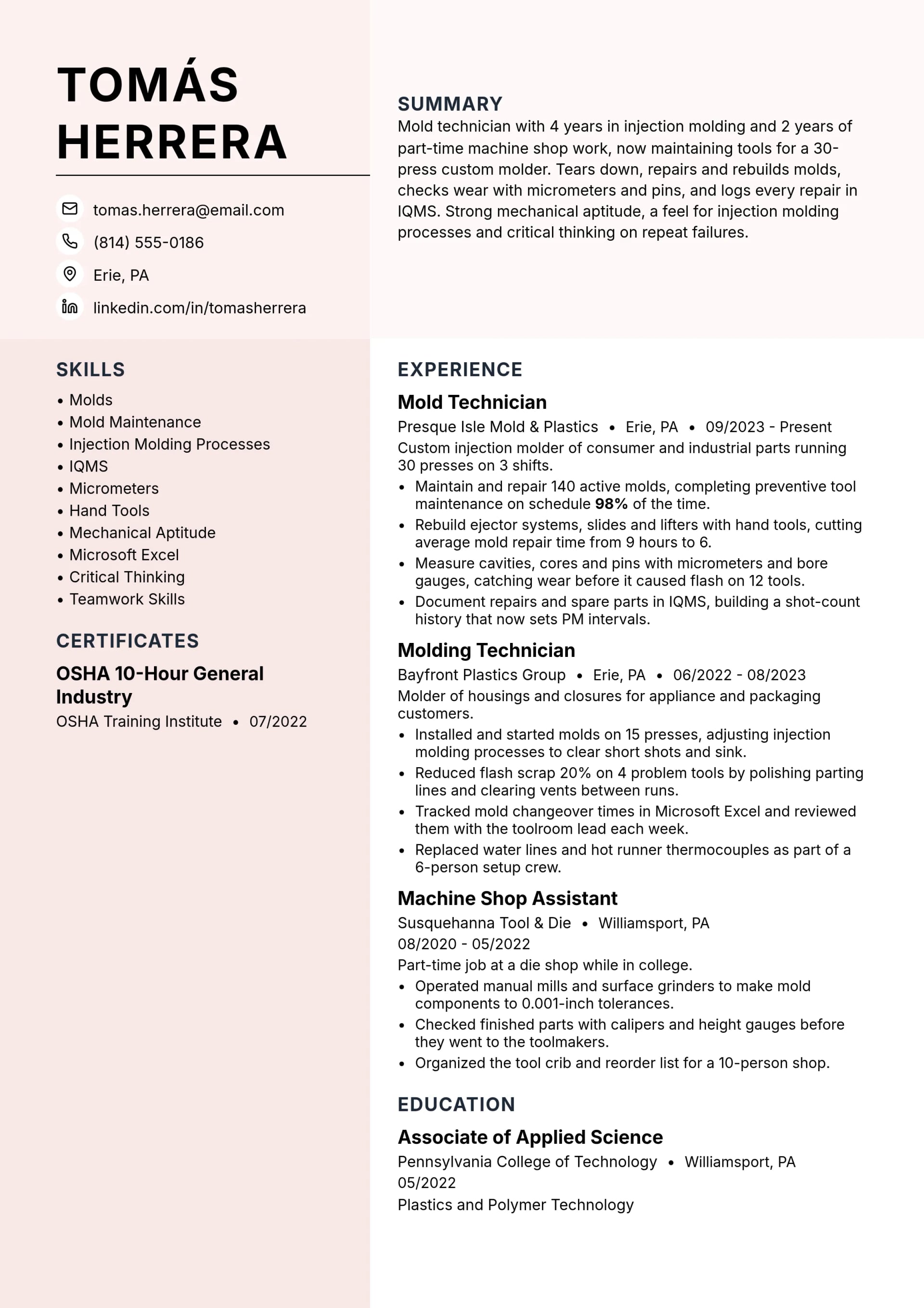Mold Technician resume example