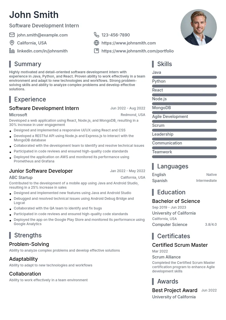 Software Development Intern resume example