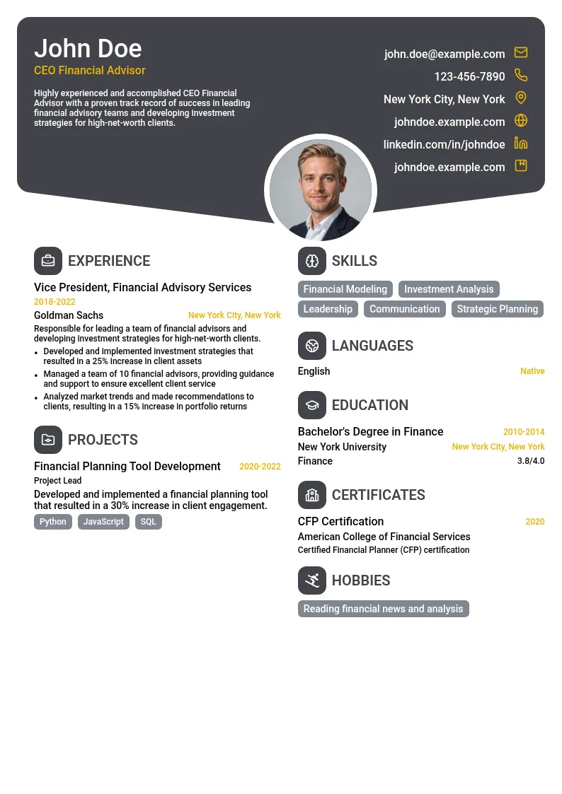 CEO Financial Advisor resume example