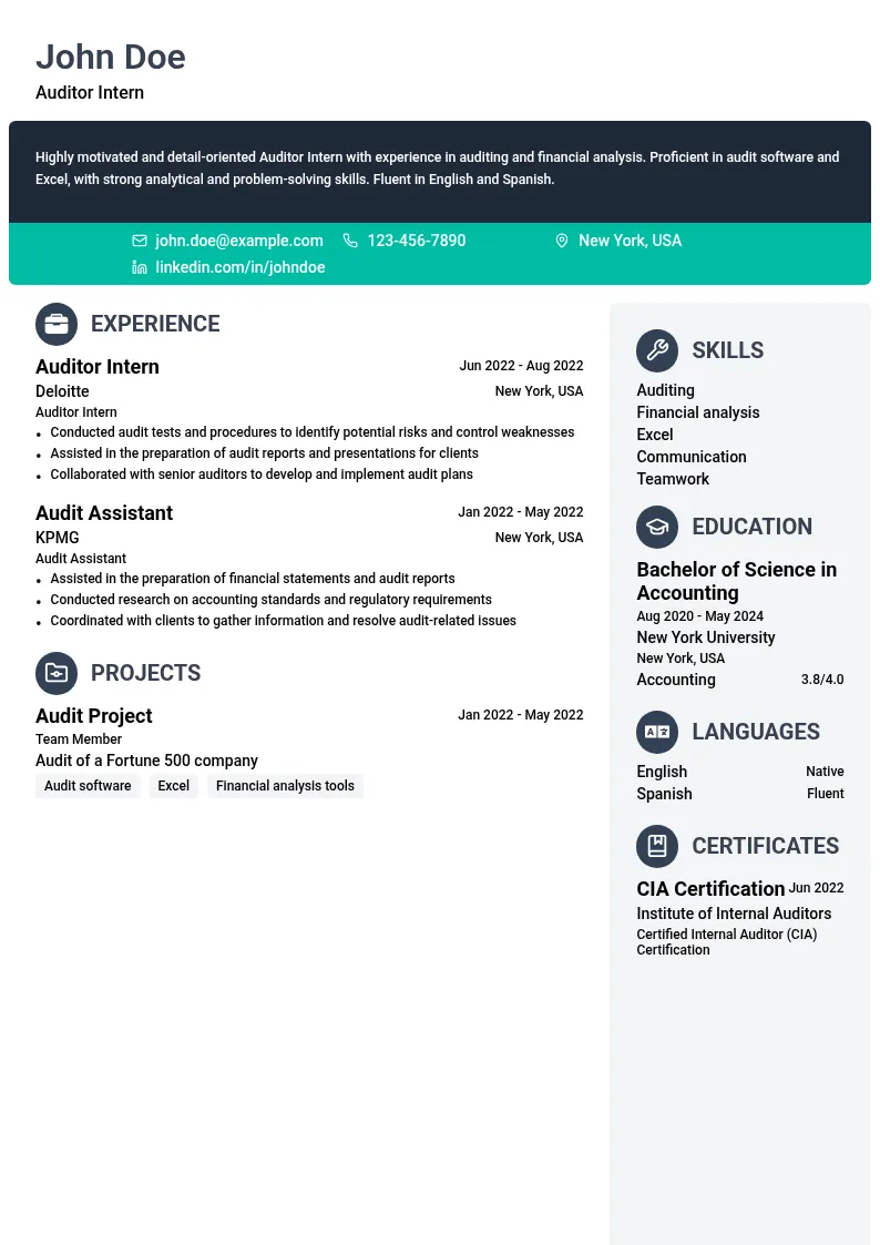 Auditor Intern resume example