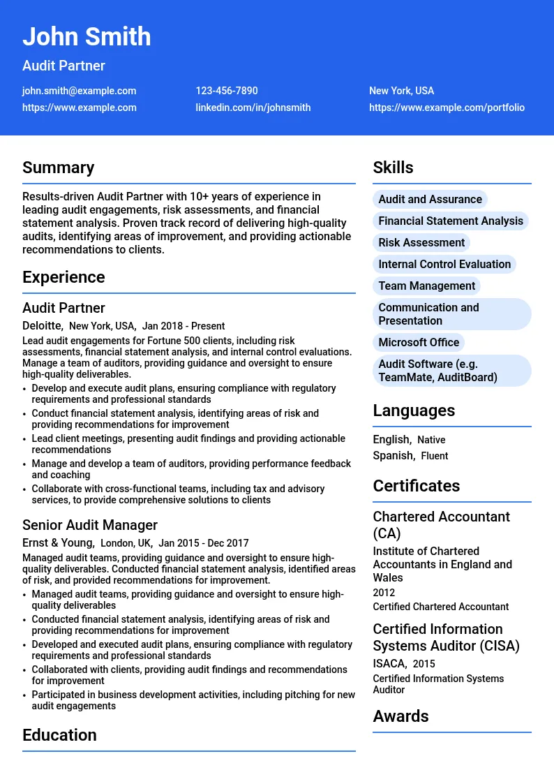 Audit Partner resume example