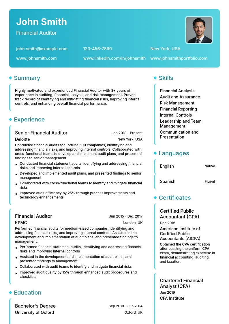 Financial Auditor resume example