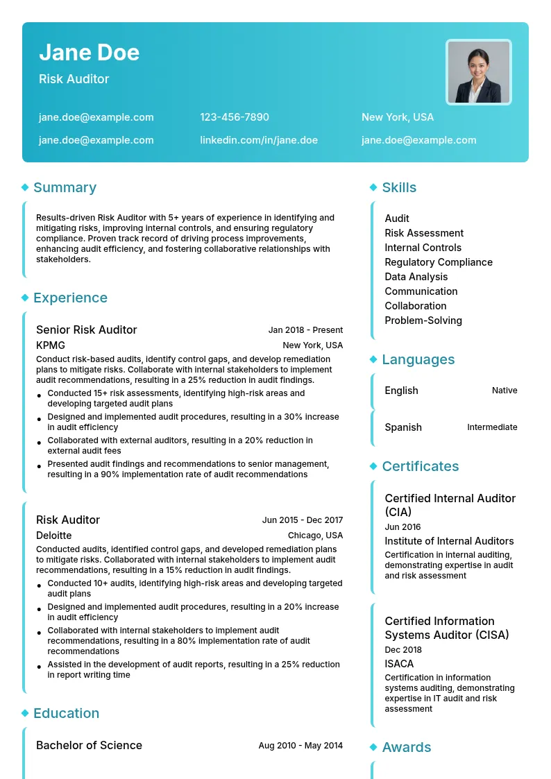 Risk Auditor resume example