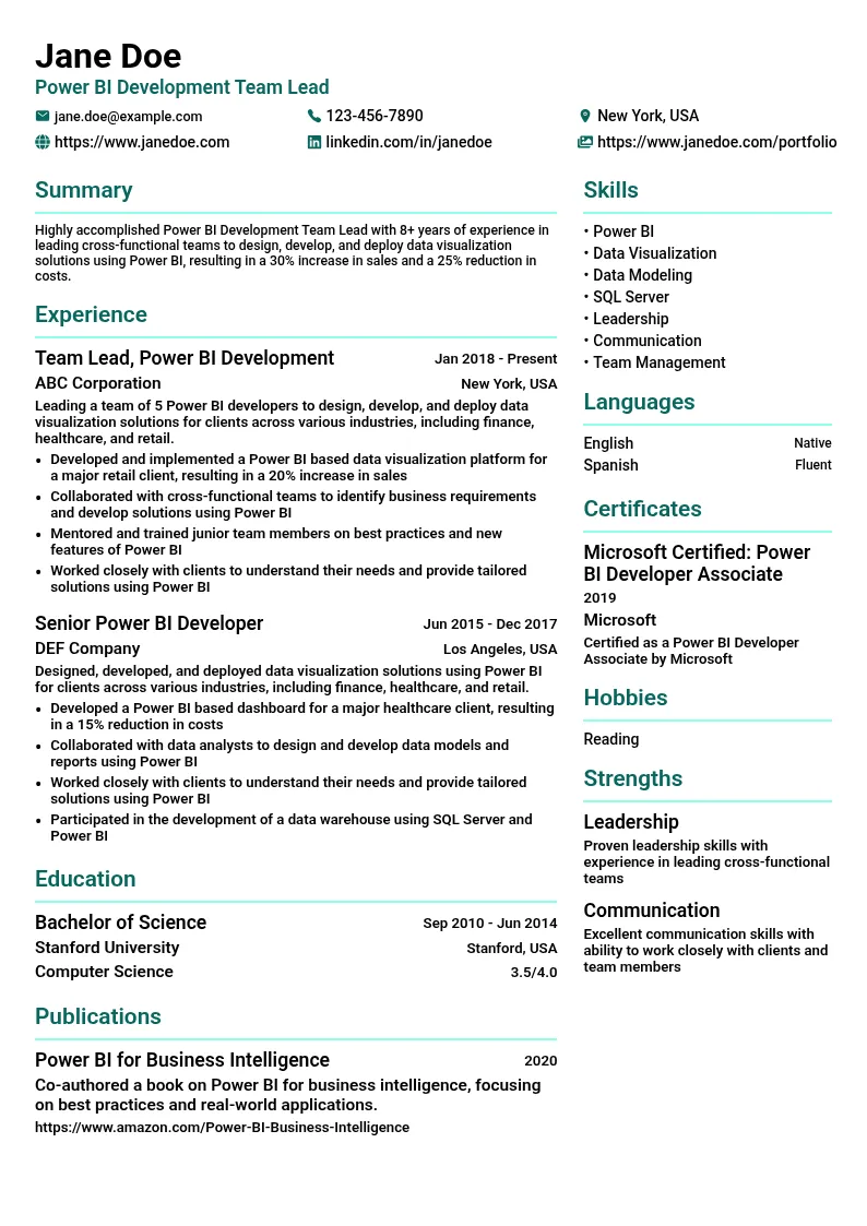 Power BI Development Team Lead resume example