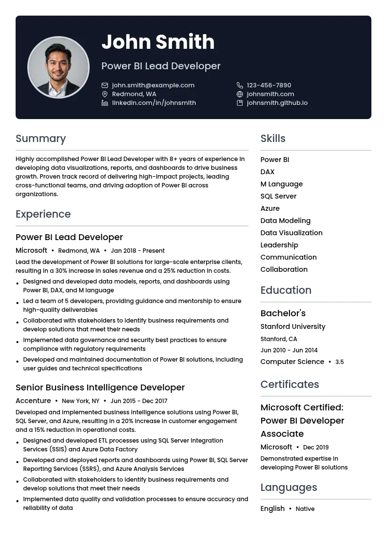 Power BI Lead Developer resume example