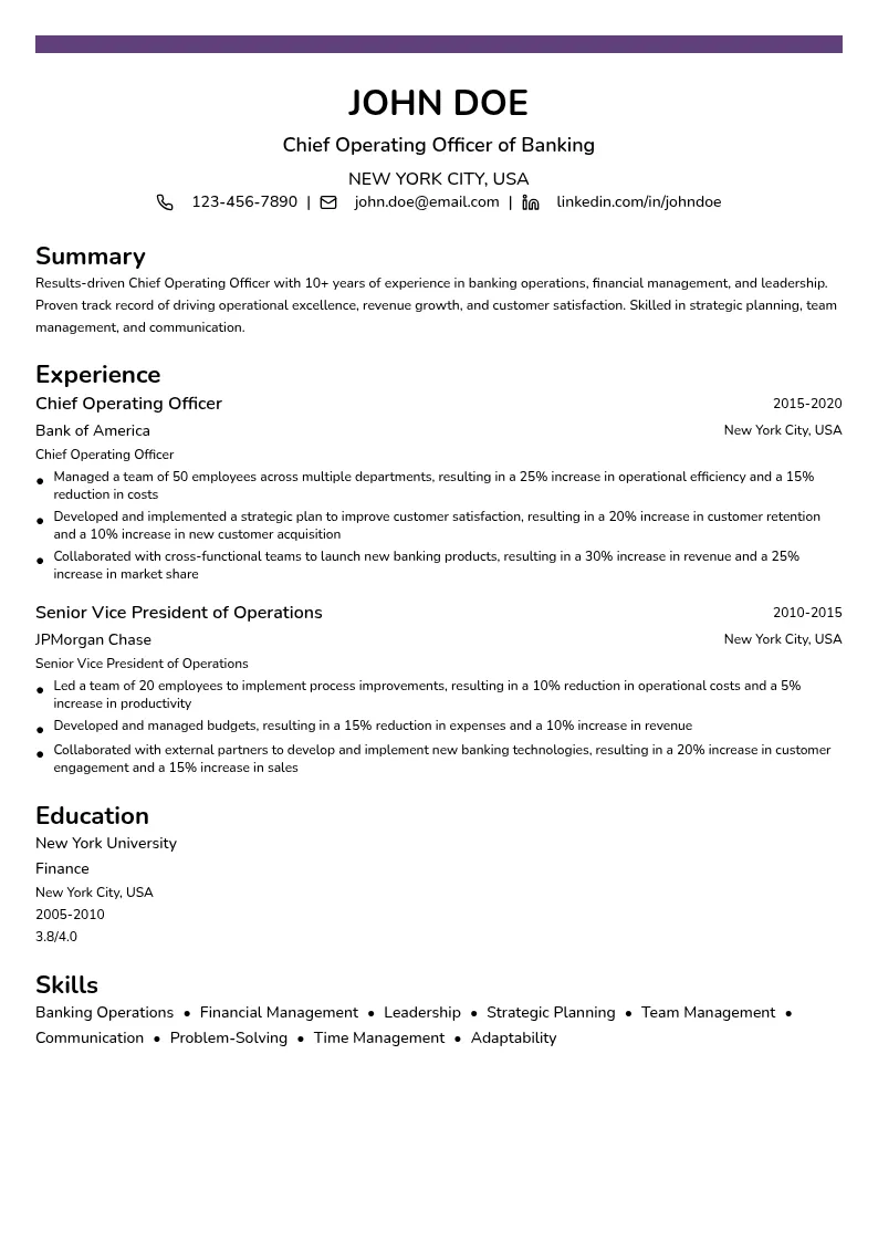 Chief Operating Officer of Banking resume example