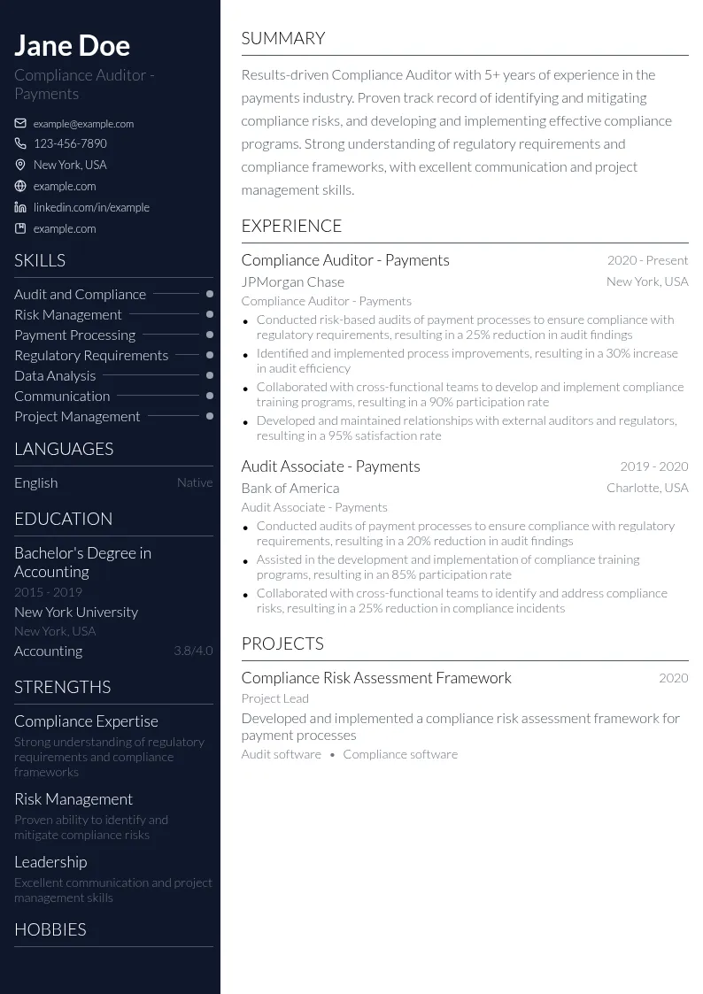 Compliance Auditor - Payments resume example