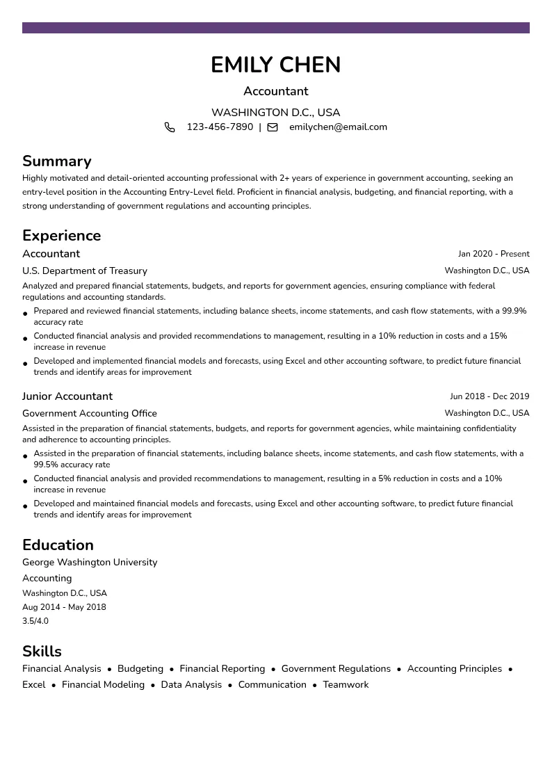 Government Accounting resume example