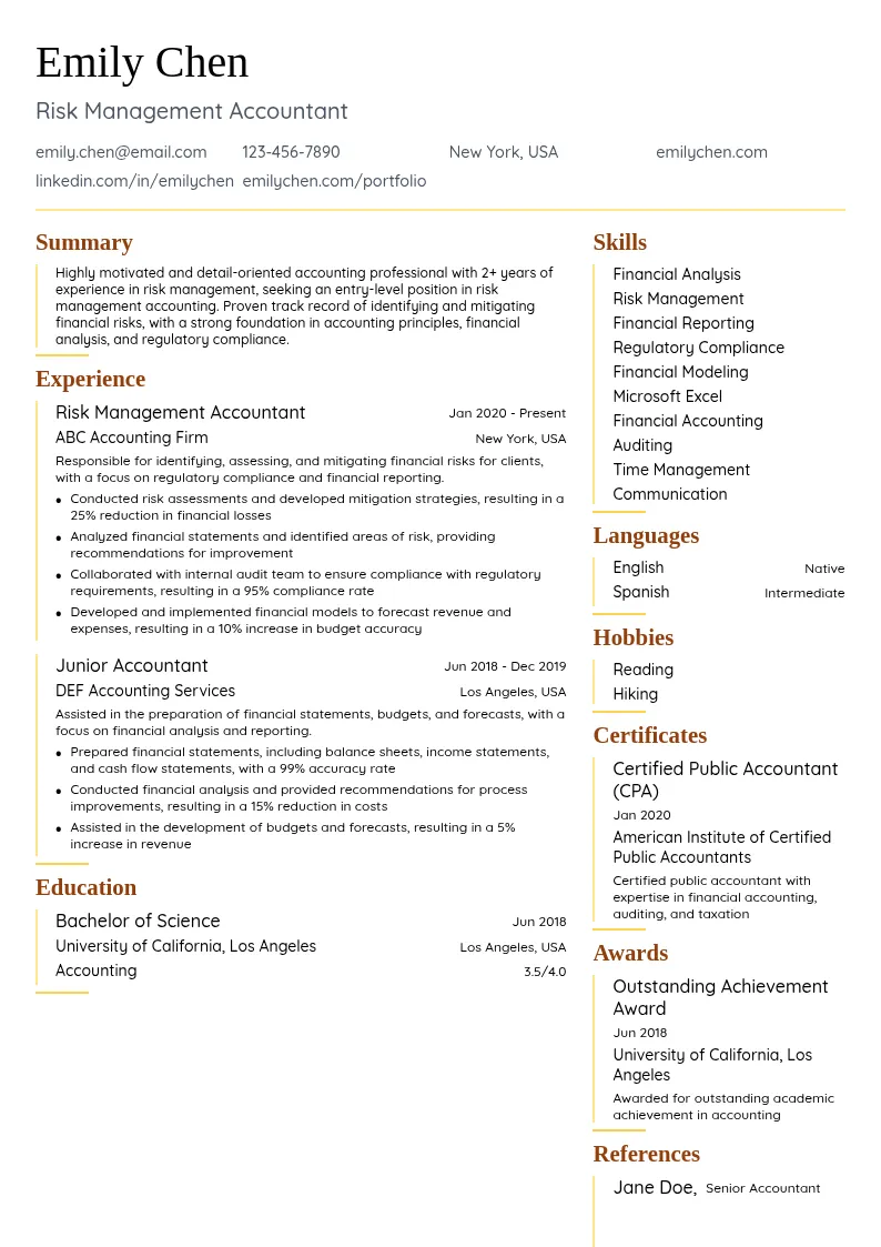 Risk Management Accounting resume example