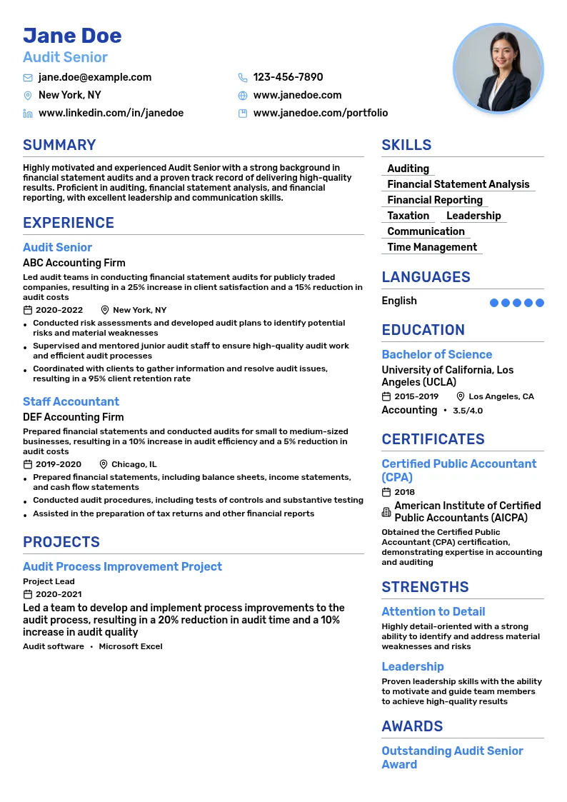 Audit Senior resume example