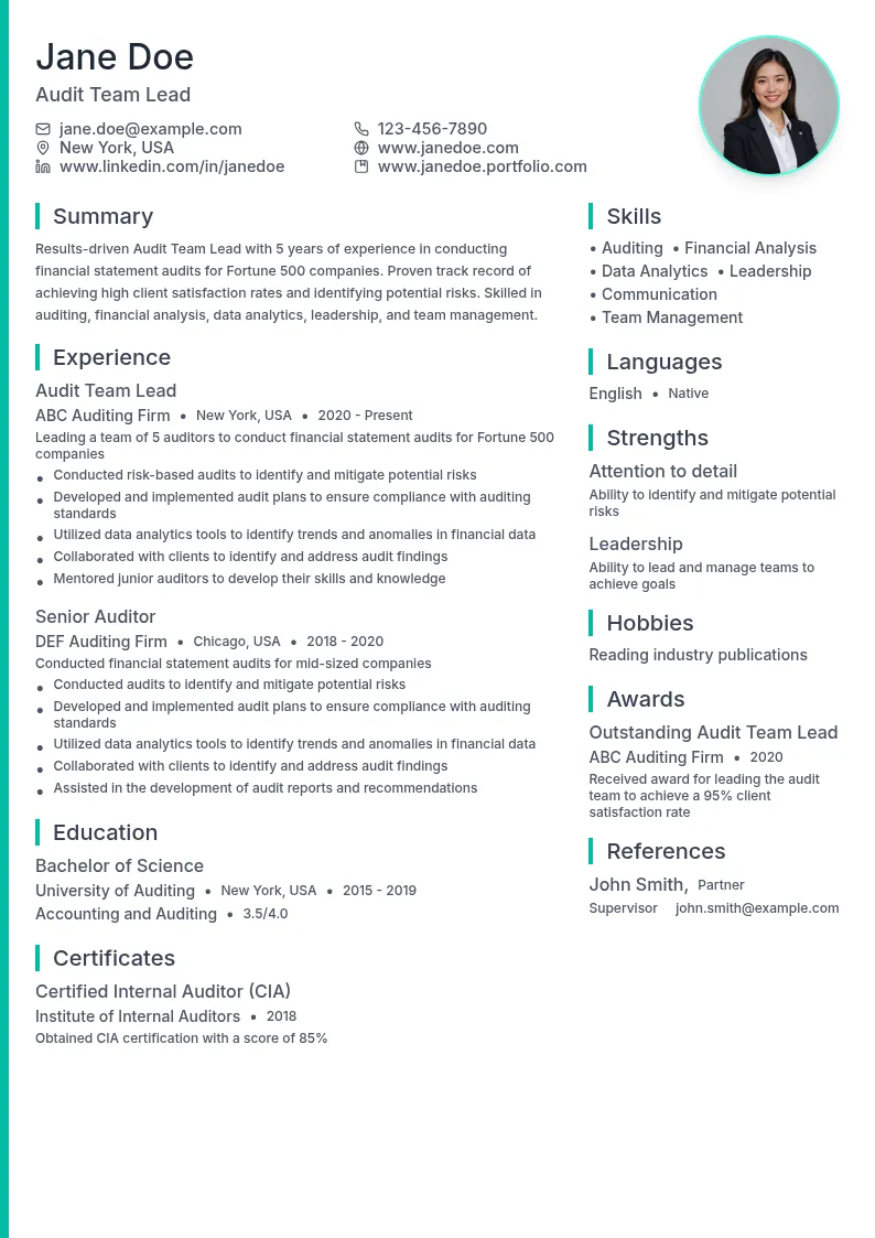 Audit Team Lead resume example