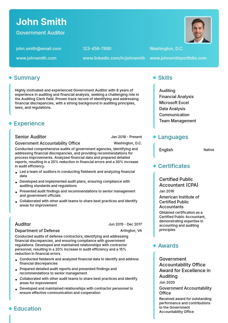 Government Auditor resume example