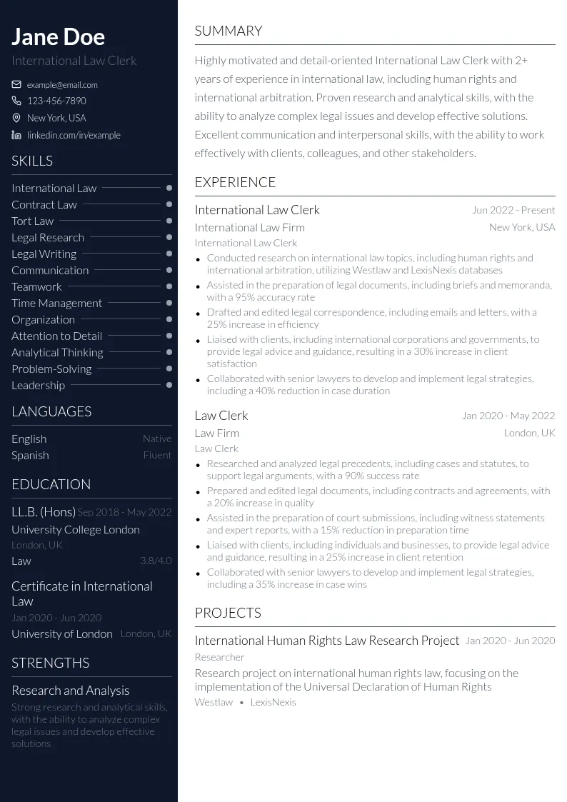 International Law Clerk resume example