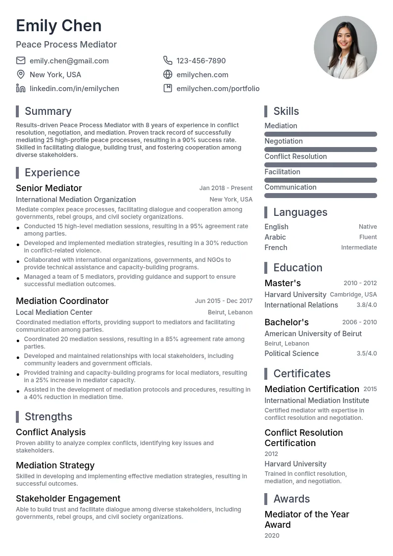 Peace Process Mediator resume example