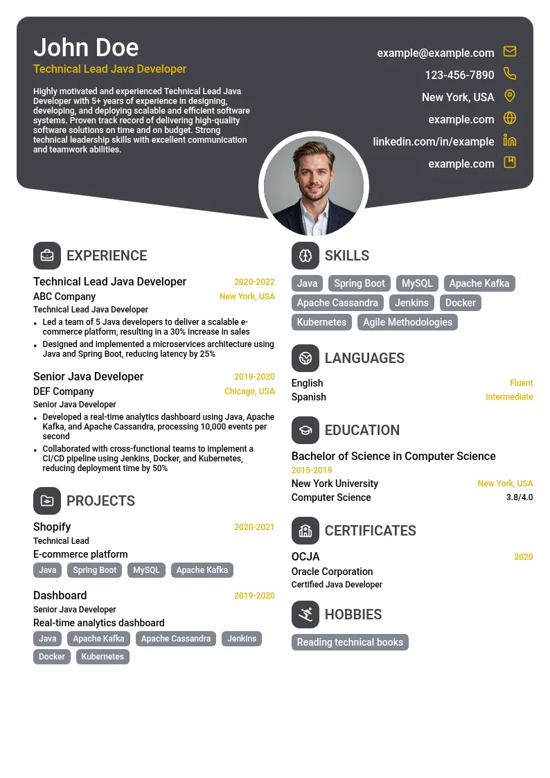 Technical Lead Java Developer resume example