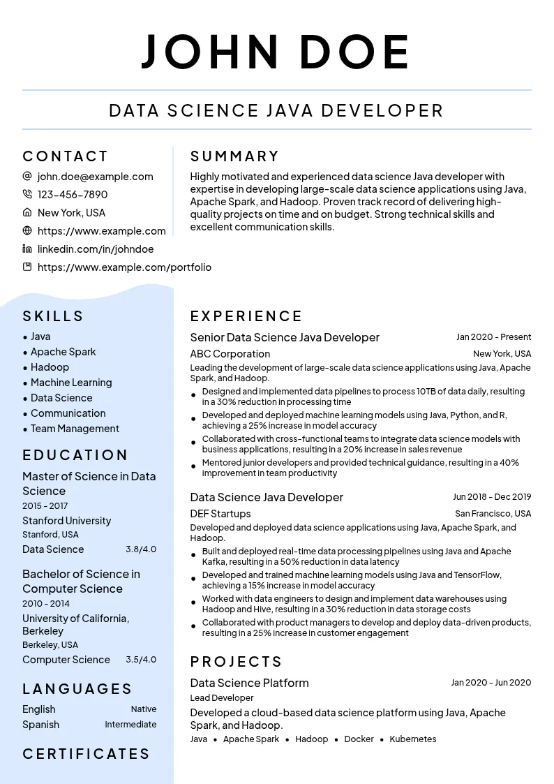 Data Science Java Developer resume example