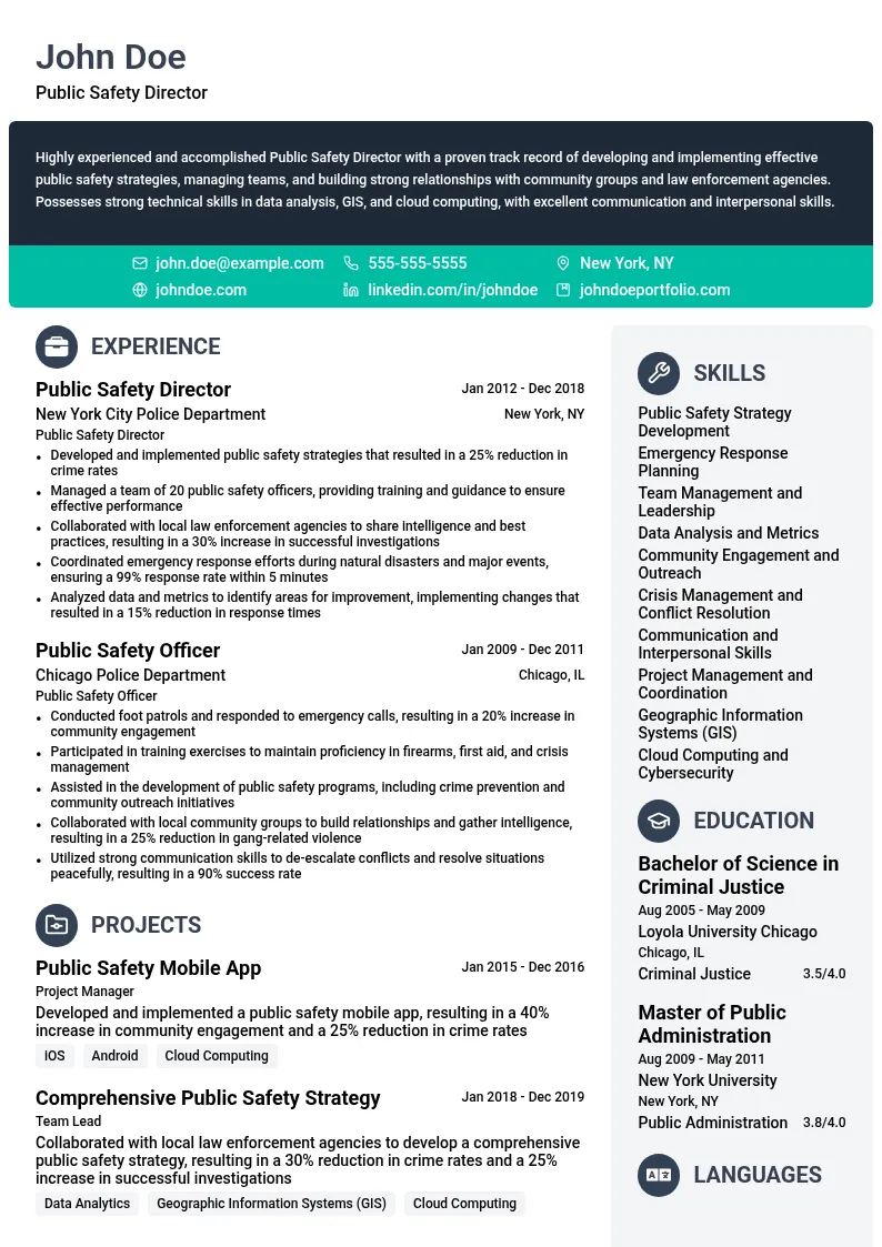 Public Safety Director resume example