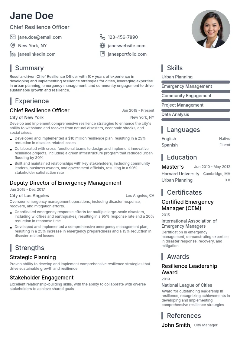 Chief Resilience Officer resume example