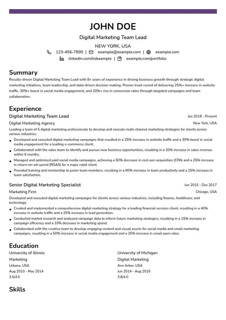 Digital Marketing Team Lead resume example