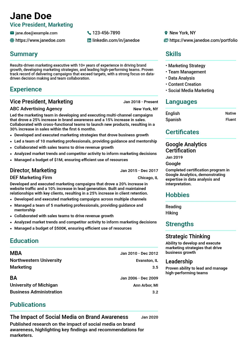 Vice President, Marketing and Brand resume example