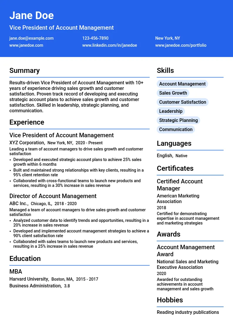 Vice President of Account Management resume example