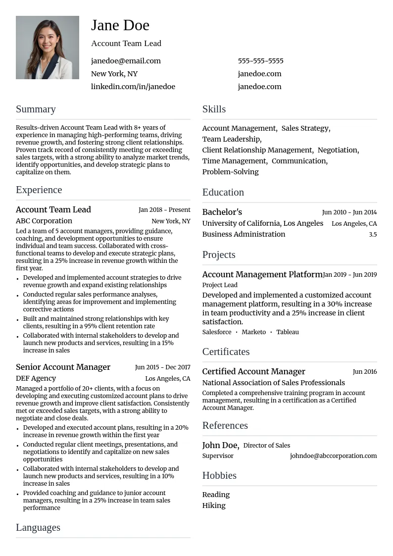 Account Team Lead resume example