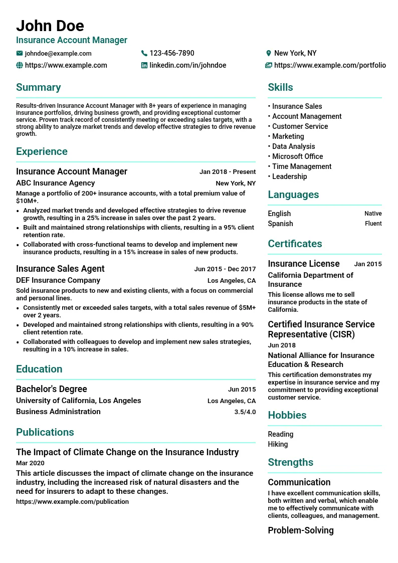 Insurance Account Manager resume example