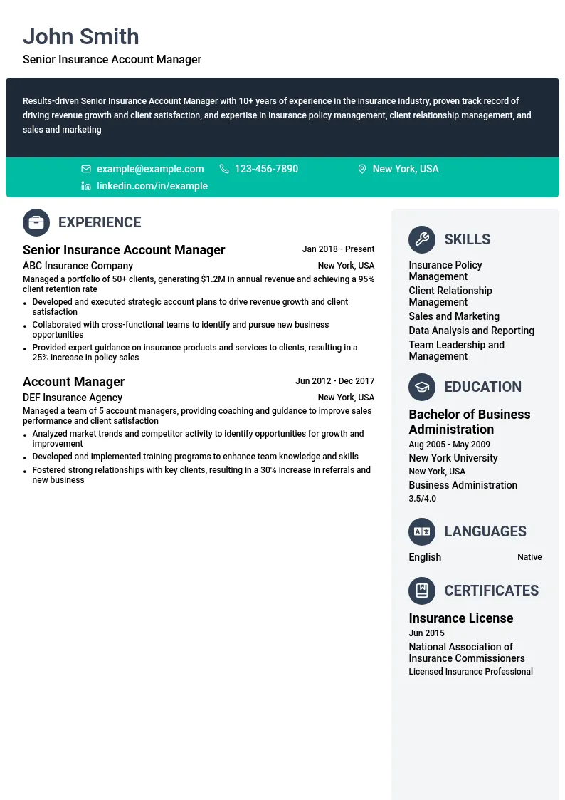 Senior Insurance Account Manager resume example