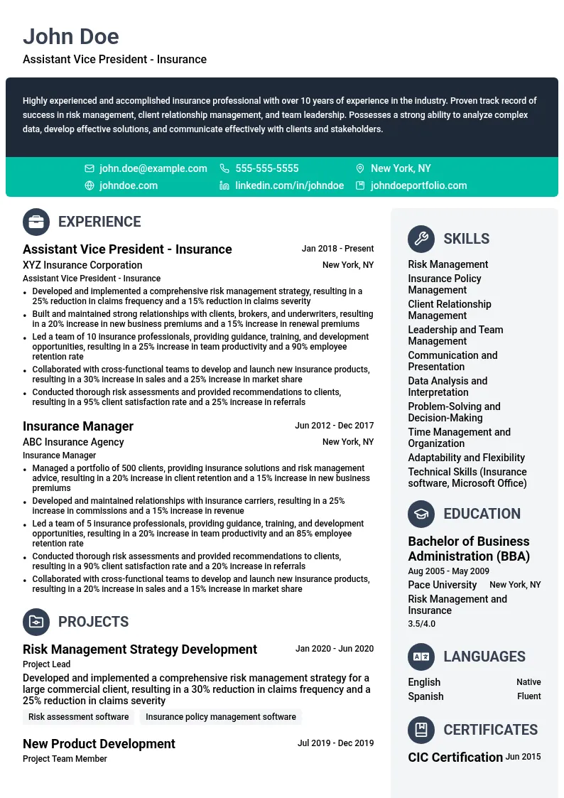 Assistant Vice President - Insurance resume example