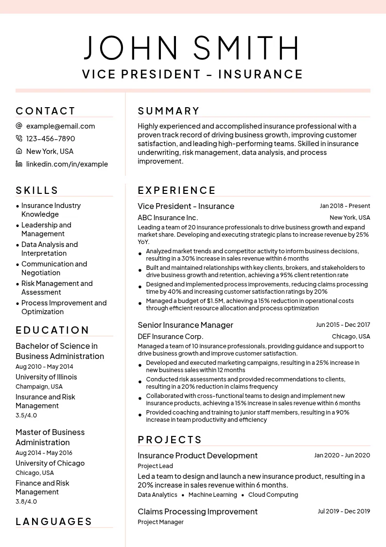 Vice President - Insurance resume example