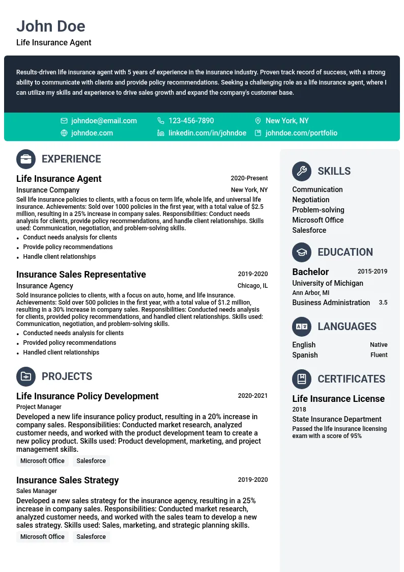 Life Insurance Agent resume example
