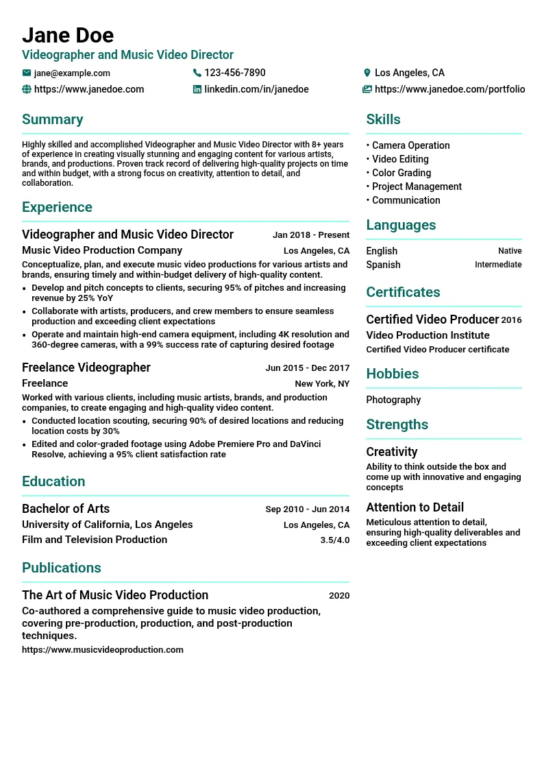 Videographer Music Video Director resume example
