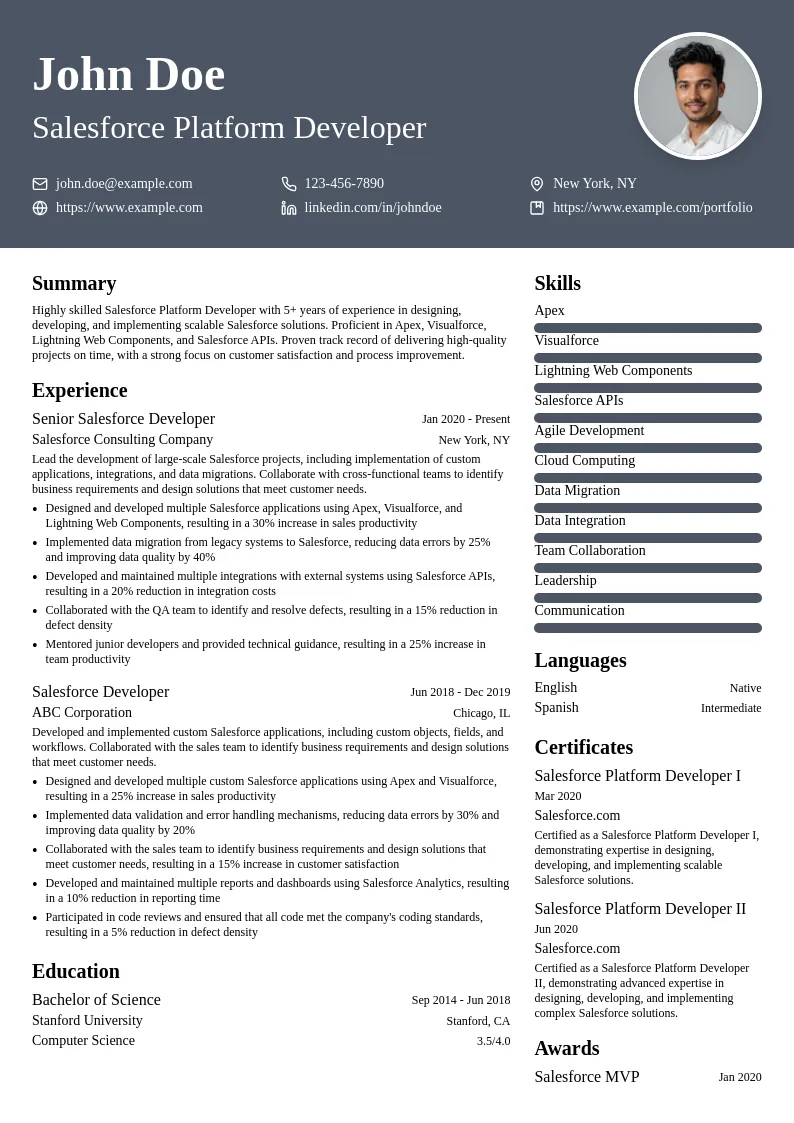 Salesforce Platform Developer resume example