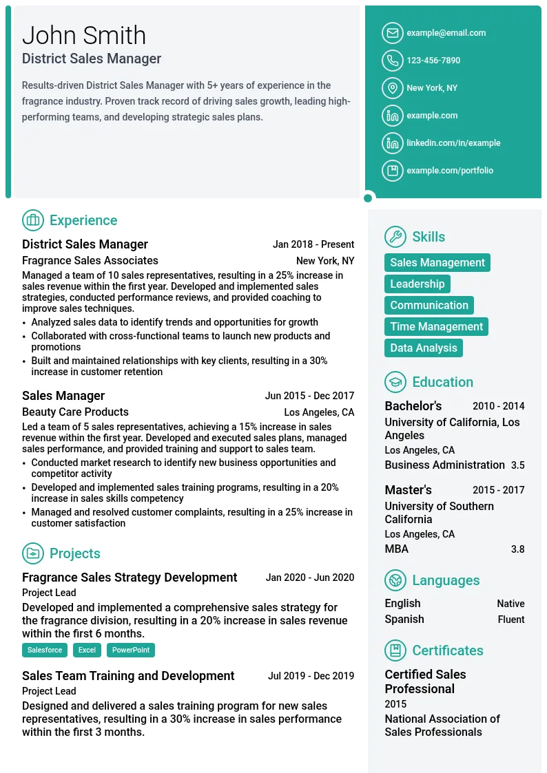 District Sales Manager resume example